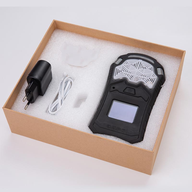 GC610復(fù)合式氣體檢測儀