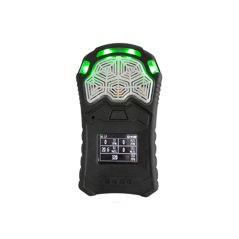 GC610復(fù)合式氣體檢測儀